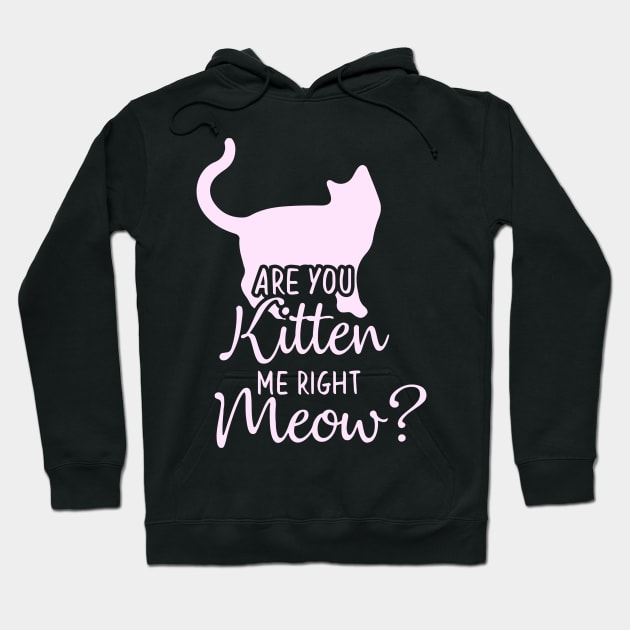 Funny Cat Phrase, Are You Kitten Me Meow Hoodie by Monday Cattitude
